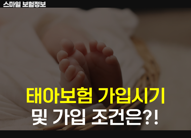 1(섬네일용).png