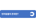 3(중간버튼용).png
